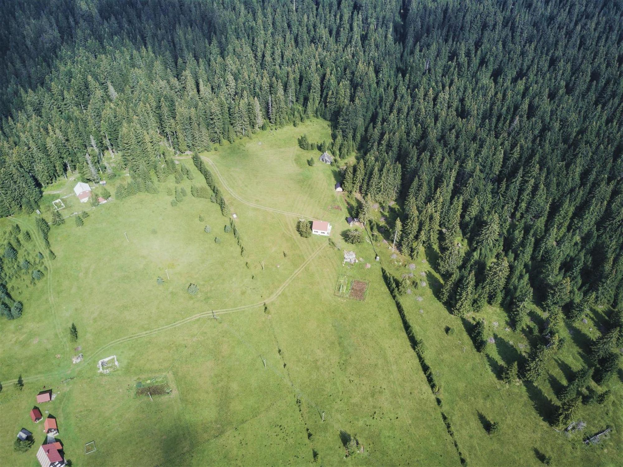 Homestay Djerkovic Zabljak  Exterior photo