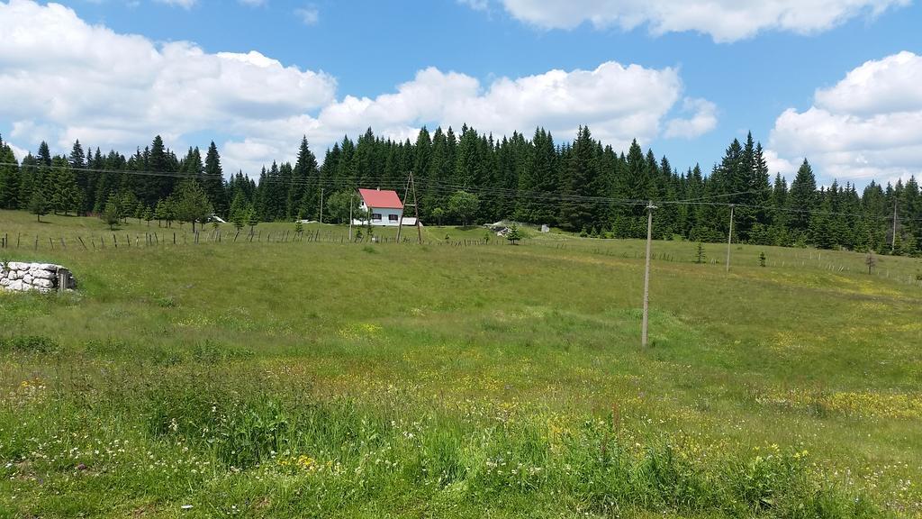 Homestay Djerkovic Zabljak  Exterior photo